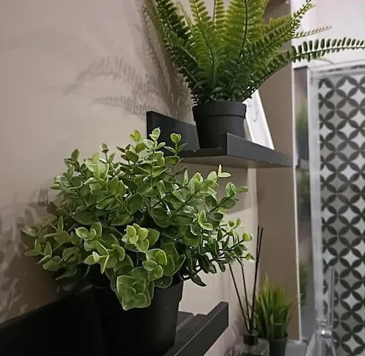 Dimora Isonzo Διαμέρισμα *