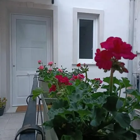 Apartment Dimora Isonzo *